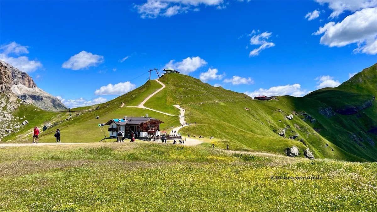 Punto panoramico Belvedere Col dei Rossi